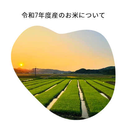 令和7年度産の新米販売時期につきまして